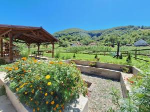 a garden with a bunch of flowers in a field at Șura Moșului in Dobîca