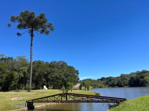 a wooden bridge over a river with a palm tree at Bella Vite in São José dos Pinhais