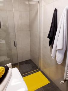 a shower with a glass door in a bathroom at Apartman Ines in Pribislavec
