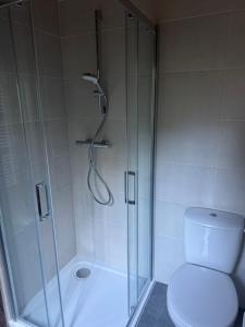 a shower with a glass door next to a toilet at chata u Ondrucha in Tři Studně