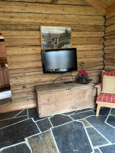 a flat screen tv sitting on a wooden wall at Liten hytte i Tinn in Notodden