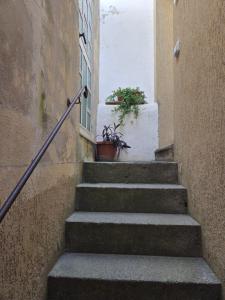 a stairway with a potted plant and a window at Conchiglia in Lipari