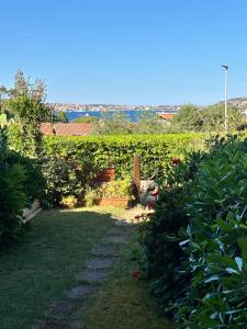 a garden with green bushes and a pathway at Casetta Spinnaker in Palau