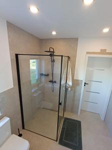a shower with a glass door in a bathroom at Gawędówka in Czchów +31 photos