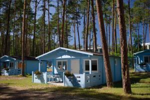 a blue tiny house in the woods at Greckie Domki ZEUS in Stegna