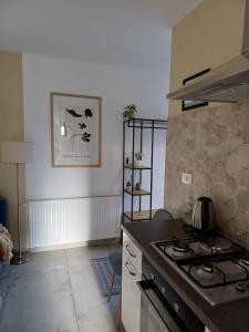 a kitchen with a stove and a counter top at Apartman Ines in Pribislavec