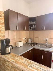 a kitchen with a sink and a counter top at Mountain View House Busteni in Buşteni +39 photos