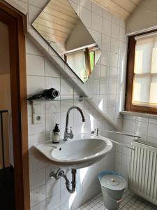 a bathroom with a sink and a toilet at Tiny House mit Terrasse nahe dem Bodensee in Wahlwies