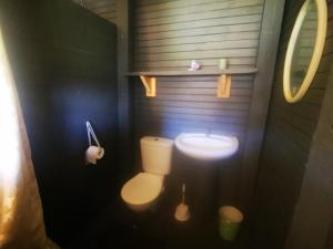 a small bathroom with a toilet and a sink at Wagon Wheel Gabin in Chrissiesmeer +20 photos