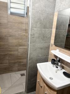 a bathroom with a sink and a shower at Újszeged apartman in Szeged +16 photos