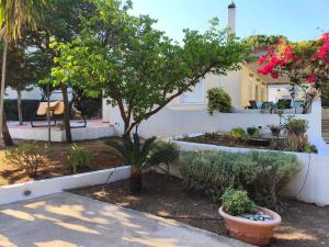a yard with a house with a tree and plants at Nicks house by zarkco in Artemida