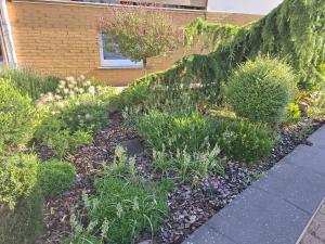 a garden with flowers and plants next to a building at Das kleine SOTEL in NuÃŸbaum