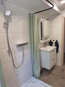 a bathroom with a shower and a sink at Das kleine SOTEL in NuÃŸbaum +10 photos