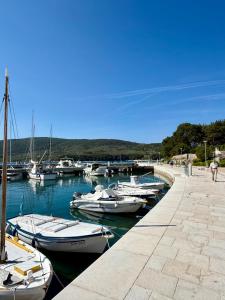 a group of boats docked in a harbor at Villa Lungomare-Large Waterfront Apartment -Lungomare Promenade 6 in Cres