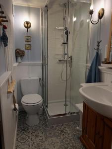a bathroom with a shower and a toilet and a sink at Dębowy Zakątek in Dębowo +44 photos