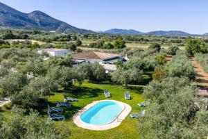 an aerial view of a villa with a swimming pool and olive trees at Residence con piscina Piricone in Orosei