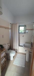 a bathroom with a toilet and a sink at Vrisi House in Kiparission +22 photos