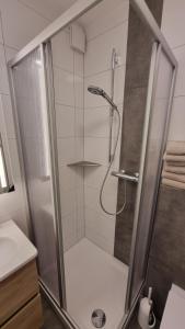 a shower with a glass door in a bathroom at Rudolph Apartments Kleve in Kleve +32 photos