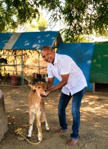 a man is petting a calf on a leash at Hotel Moturi Farmstay Vemulawada in Vemalwāda