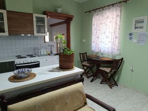 a kitchen with a table with a plant on the counter at Forest Retreat Near the Sea Kouvaras in Kouvarás