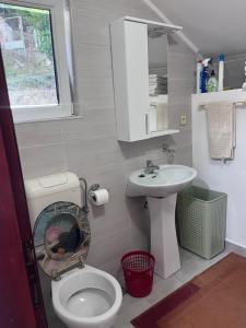 a bathroom with a toilet and a sink at Beara in Lepetani +7 photos