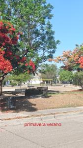 a park with benches and a tree with red flowers at Céntrico León Guanajuato México in Sofía