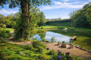 a pond in a garden with a bench next to it at Gite sous-terre in Landisacq