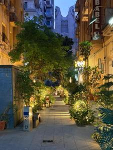 castello hotel في القاهرة: رصيف مشاة به أشجار ونباتات في مدينة ليلاً