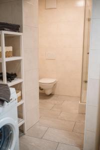 a bathroom with a toilet and a shower at Wilten 1 in Innsbruck