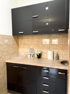 a kitchen with black cabinets and a sink at Apartman LUXE STAY Vujović in Bileća