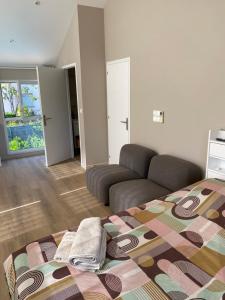 a living room with a bed and a couch at Le nid d'Eve - studio cosy près de Strasbourg avec piscine in Illkirch-Graffenstaden +11 photos