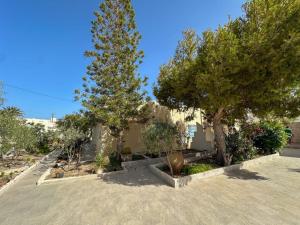 a house with trees and plants in a yard at Villa cleopatra in Mezraya