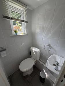 a white bathroom with a toilet and a sink at Cosy Studio naast station vlak bij Brussel in Hoeilaart +4 photos