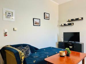 a living room with a blue couch and a table at Timeless Memories Studio in Zipárion