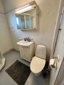 a bathroom with a toilet and a sink and a mirror at Villa Lindäng Apartment -Vimmerby in Vimmerby +92 photos