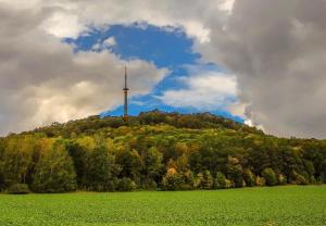 a hill with a radio tower on top of it at Pension Anna in Löbau