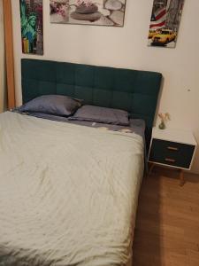 a bed with a green headboard in a bedroom at Home luna &zeus in Lausanne