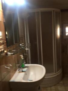 a bathroom with a sink and a shower at Casa Flory nr 2- Complex de Pensiuni si Casute la Munte in Bistricioara +1 photo