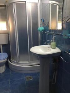 a bathroom with a shower and a sink and a toilet at Casa Flory nr 2- Complex de Pensiuni si Casute la Munte in Bistricioara