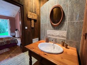 a bathroom with a sink and a mirror on a counter at Maison d'Hôtes Béarnaise "Léchémia" in Salies-de-Béarn