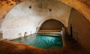 Πισίνα στο ή κοντά στο Hotel Hamam
