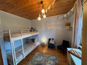 a room with a bunk bed and a desk at Amaleczka Woda Las in Podjazdy