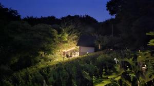 a house in a garden at night at Forest Magic in Duga Resa