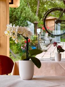 two white flowers in a white pot on a table at Agritur Girardelli in Riva del Garda