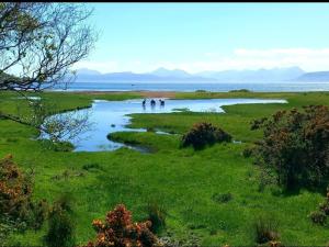 three people walking in a river in a field at The Bunkhouse in Applecross