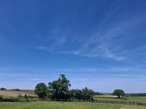 a field with trees and a blue sky at Faugere in Bussières
