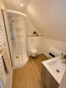 a bathroom with a shower and a toilet and a sink at Le Nuage - Vidéoprojecteur - Terrasse - 5min Gare in Ploumagoar