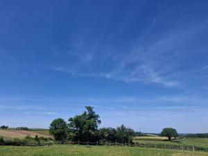 a field with trees and a fence in the foreground at Faugere in Bussières +5 photos