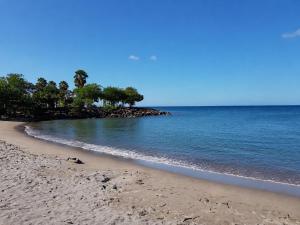 a sandy beach with trees and the ocean at Villa Coralys - Plage - Cozy in Schœlcher