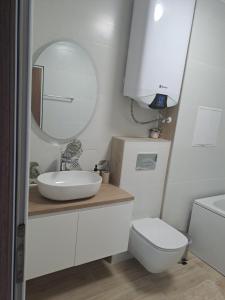 a bathroom with a sink and a toilet and a mirror at MarVi home in Ruse +9 photos